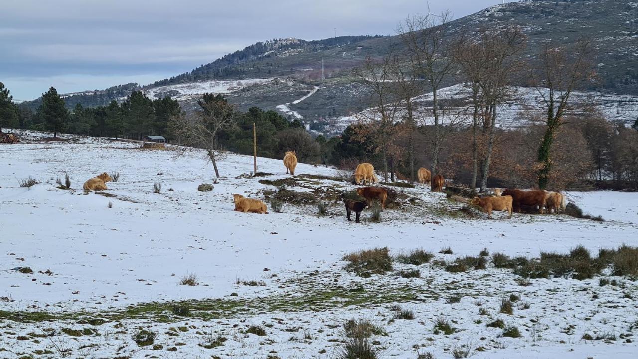 אגיאר דה ביירה Quinta De Santo Estevao Hotel Rural מראה חיצוני תמונה