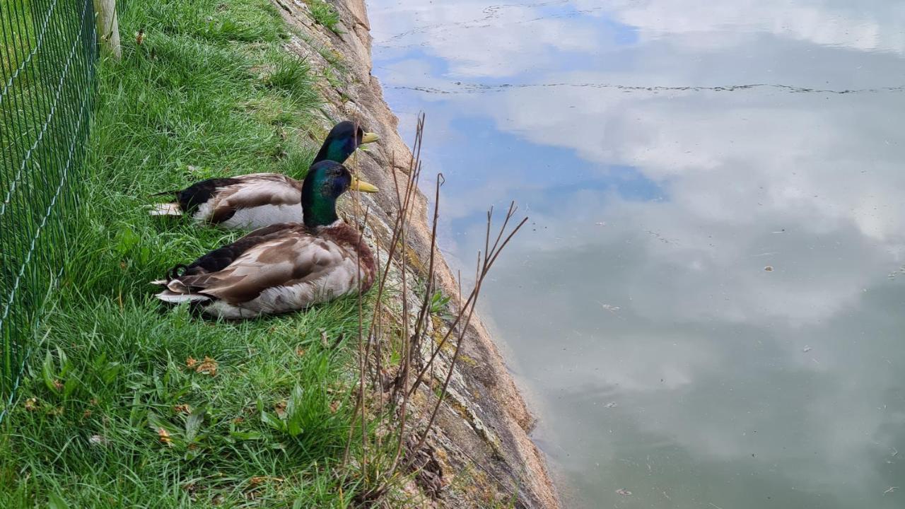 אגיאר דה ביירה Quinta De Santo Estevao Hotel Rural מראה חיצוני תמונה