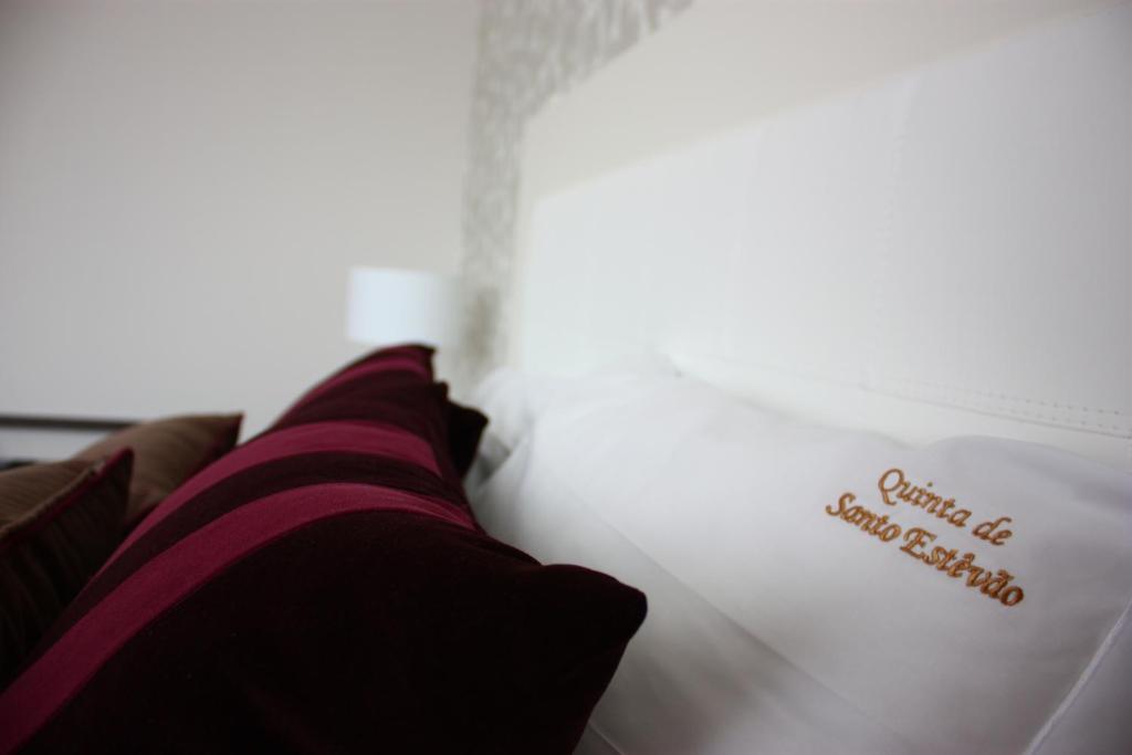אגיאר דה ביירה Quinta De Santo Estevao Hotel Rural מראה חיצוני תמונה